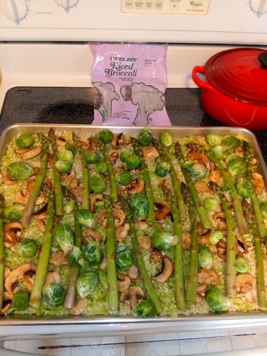A Vegan Keto Follow Up